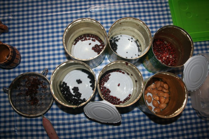 Germinarea semințelor de evodia, ginkgo biloba, mere, pere, semințe de brad și cătină