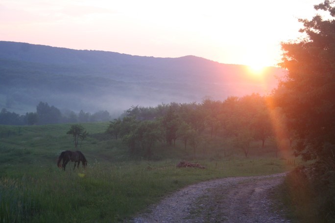 Drumul acasă