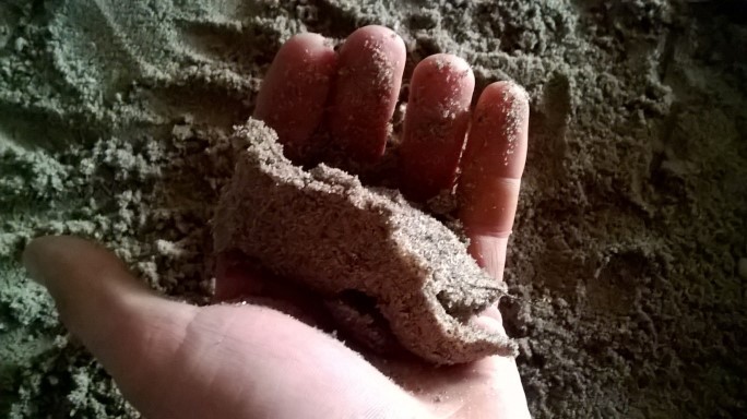 Nisip umed