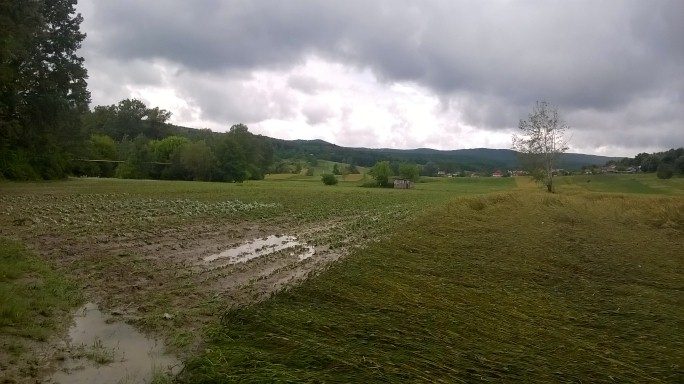 Gradina după inundație