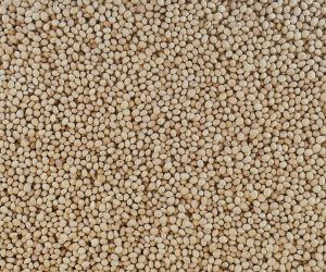 Semințe de păr pădureț și cireș sălbatic pentru cine vrea să-și facă singur portaltoii