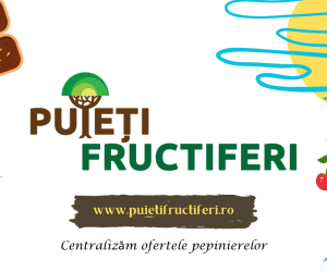 puietifructiferi.ro – Centralizator pentru ofertele pepinierelor de pomi, arbuști fructiferi și căpșuni